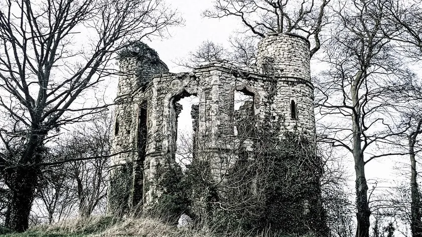 Фото: freepik.com