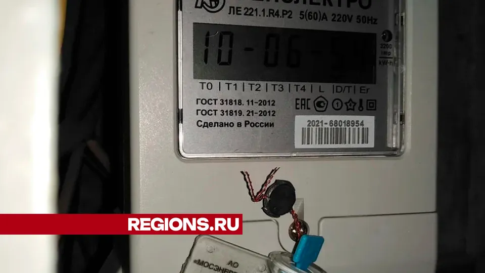 Фото: REGIONS/Василий Тремасов