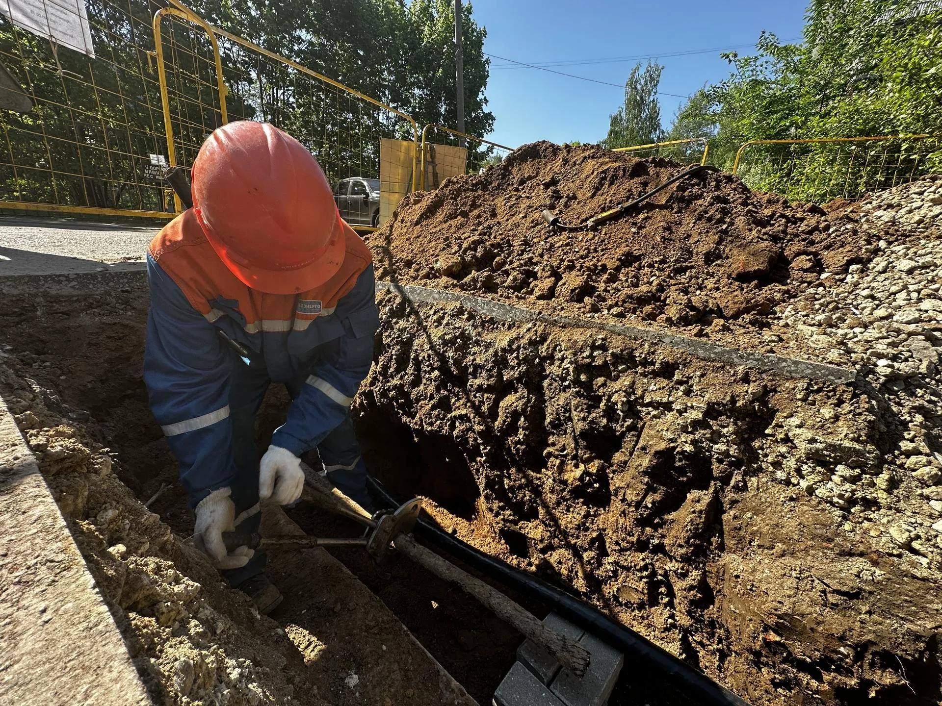 Фото: Комитет лесного хозяйства Московской области
