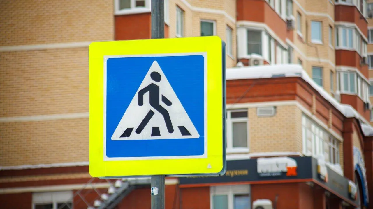 REGIONS/Сергей Шешин