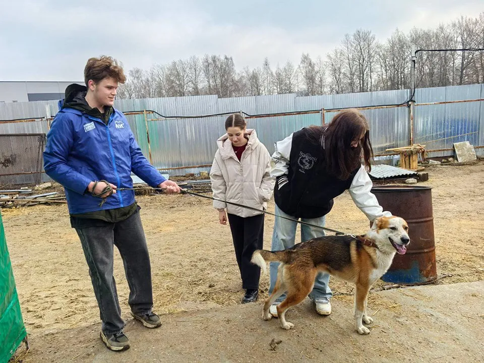 Фото: «Единая Россия» г.о. Серпухов