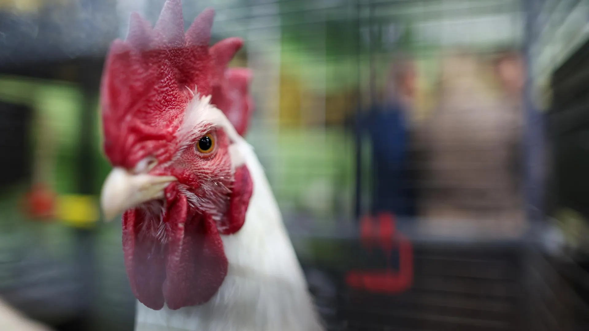 Belkin Alexey/news.ru