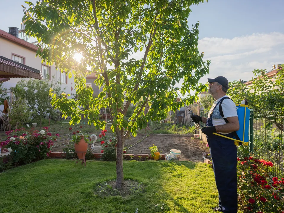 Фото: istockphoto.com