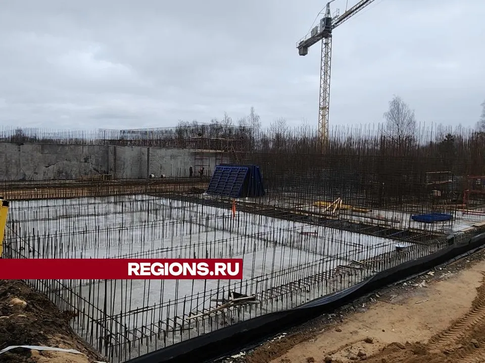 Фото: Хавива Фонина