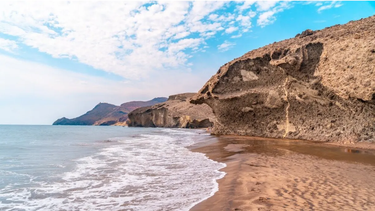 Фото: https://ru.freepik.com/