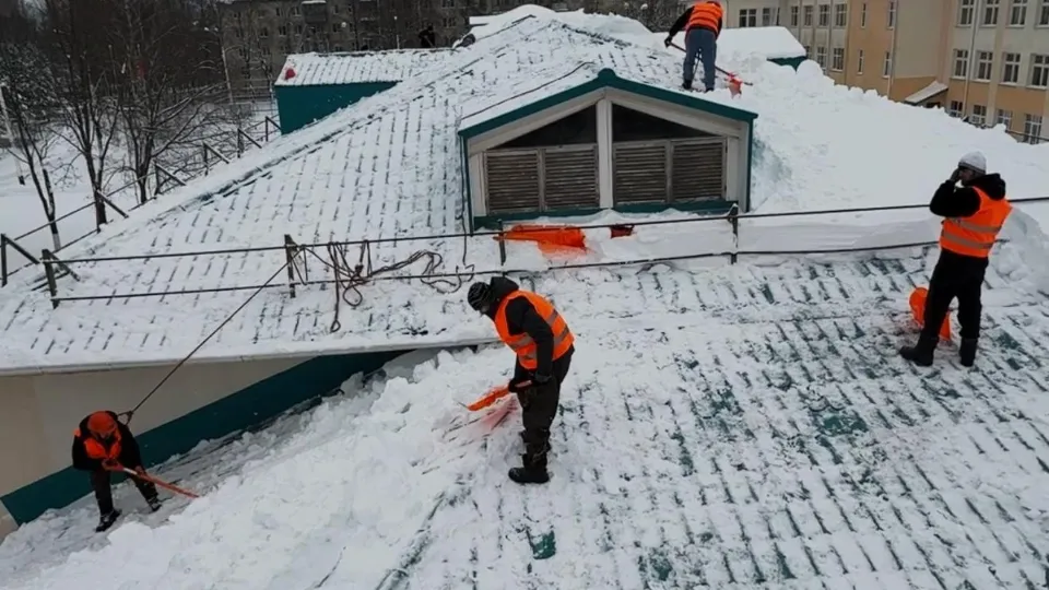 Фото: пресс-служба администрации м.о. Истра