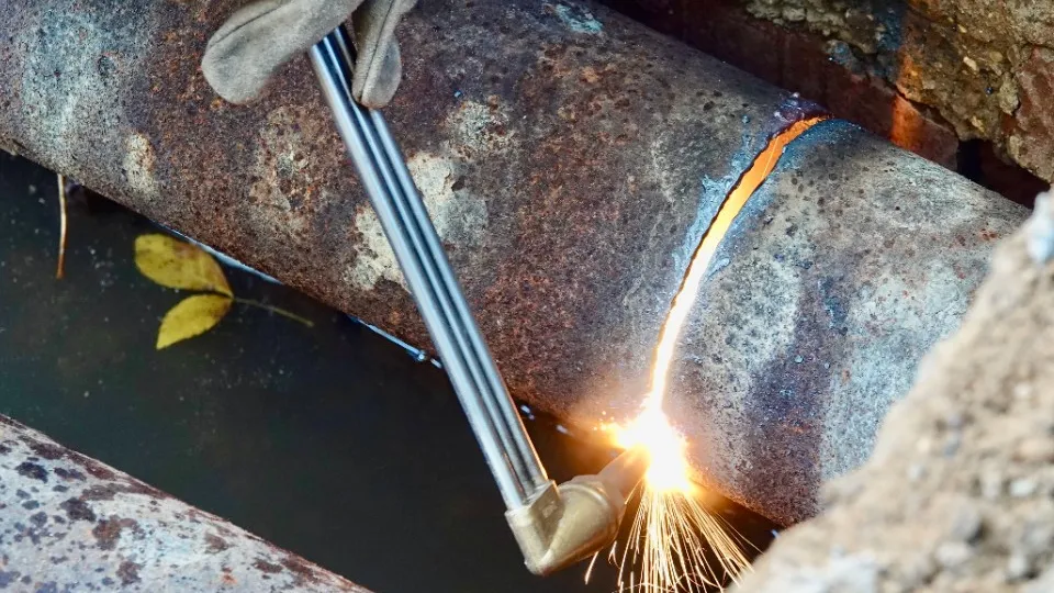 Фото: МедиаБанк Подмосковья/Дарья Леонова